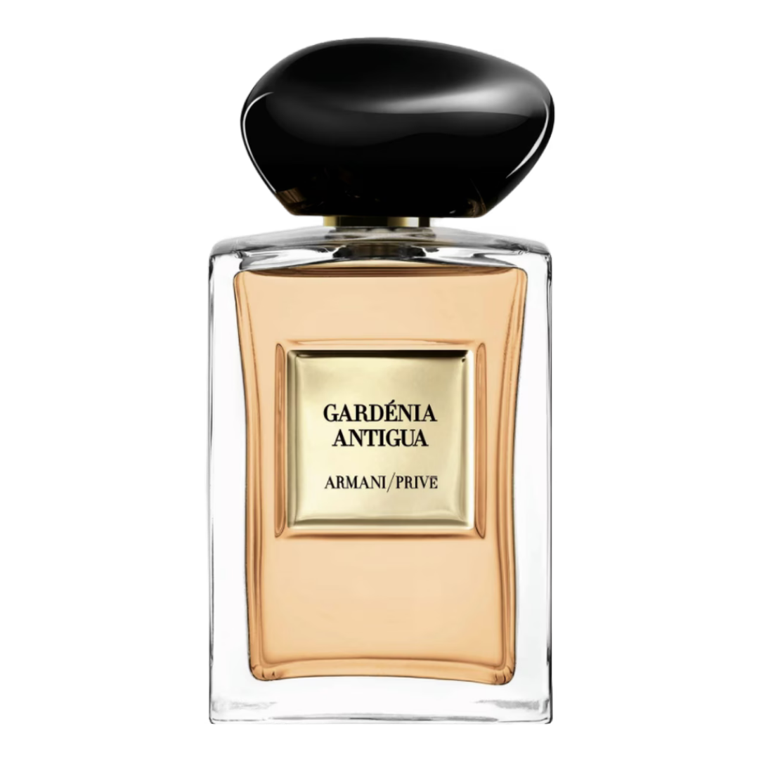 gardenia antigua