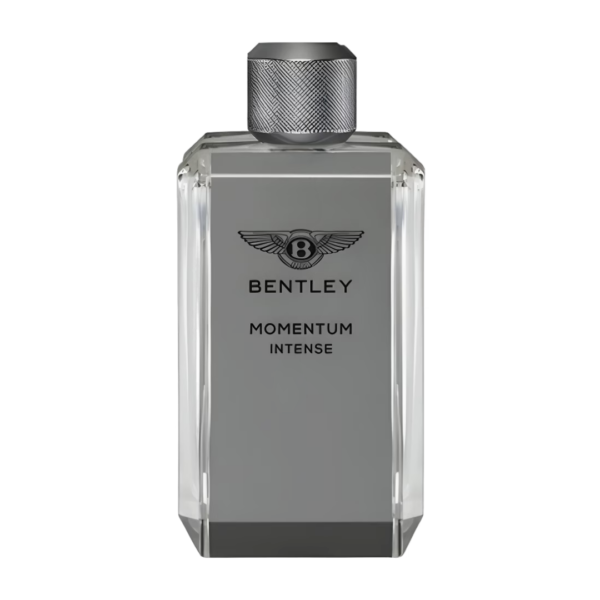 Bentley Momentum Intense