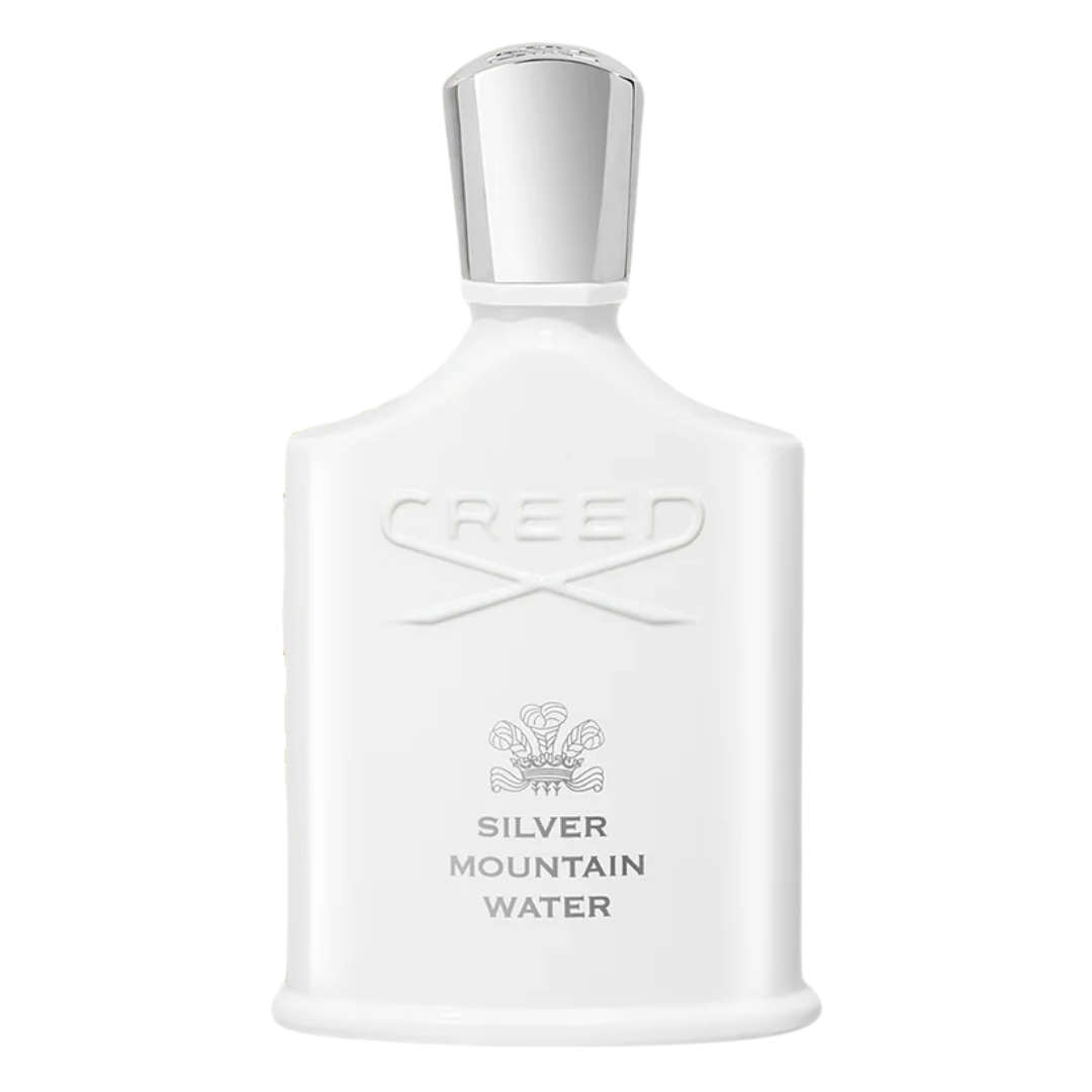 silver mountain