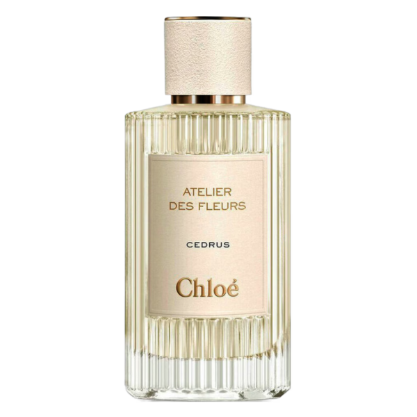 Cedrus Chloé