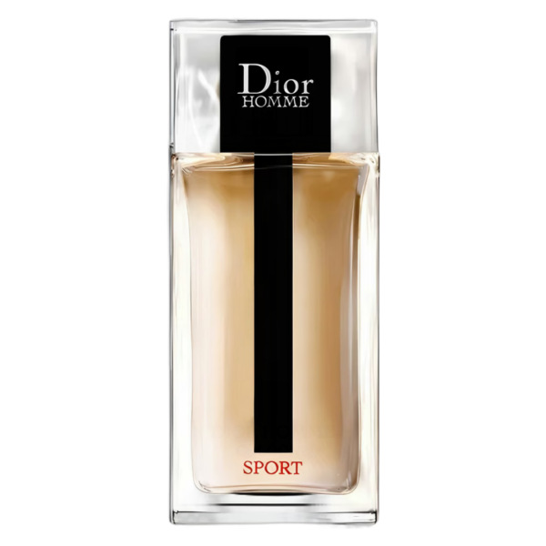 Dior Homme Sport 2021 Dior